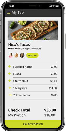 Vemos check data mobile app